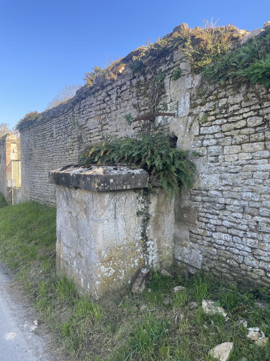 image H IMG_1681
