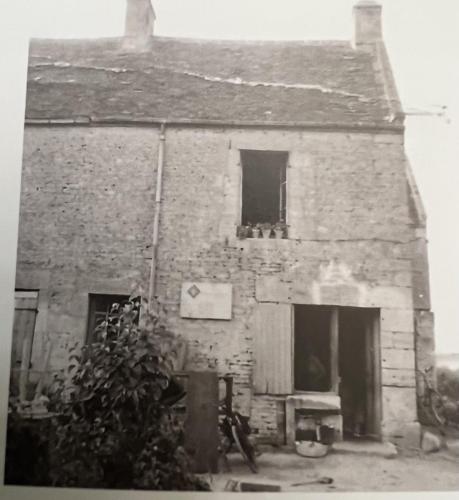 Image G01