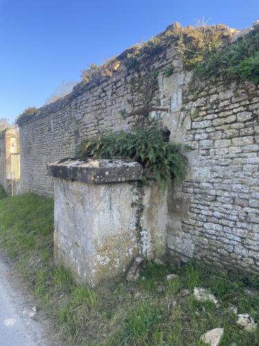 image H IMG_1681