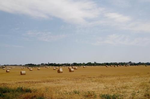 image-A01-plaine-de-ranville